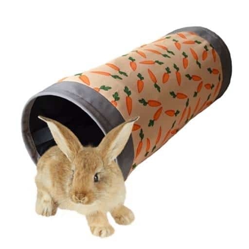 Carrot Fabric Tunnel - Home & Roost
