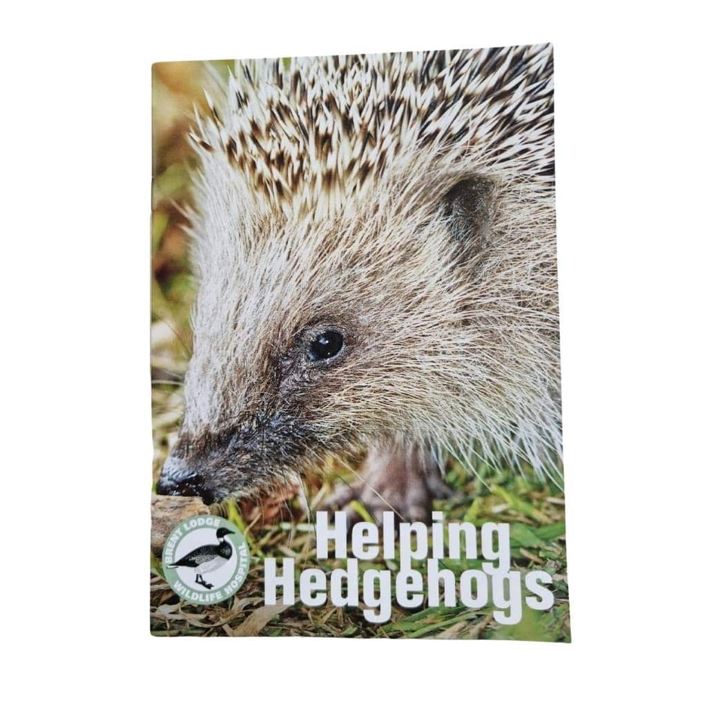 Hedgehog Feeding Station Starter Kit | 7 Items Included | The Perfect Set Up for Beginners