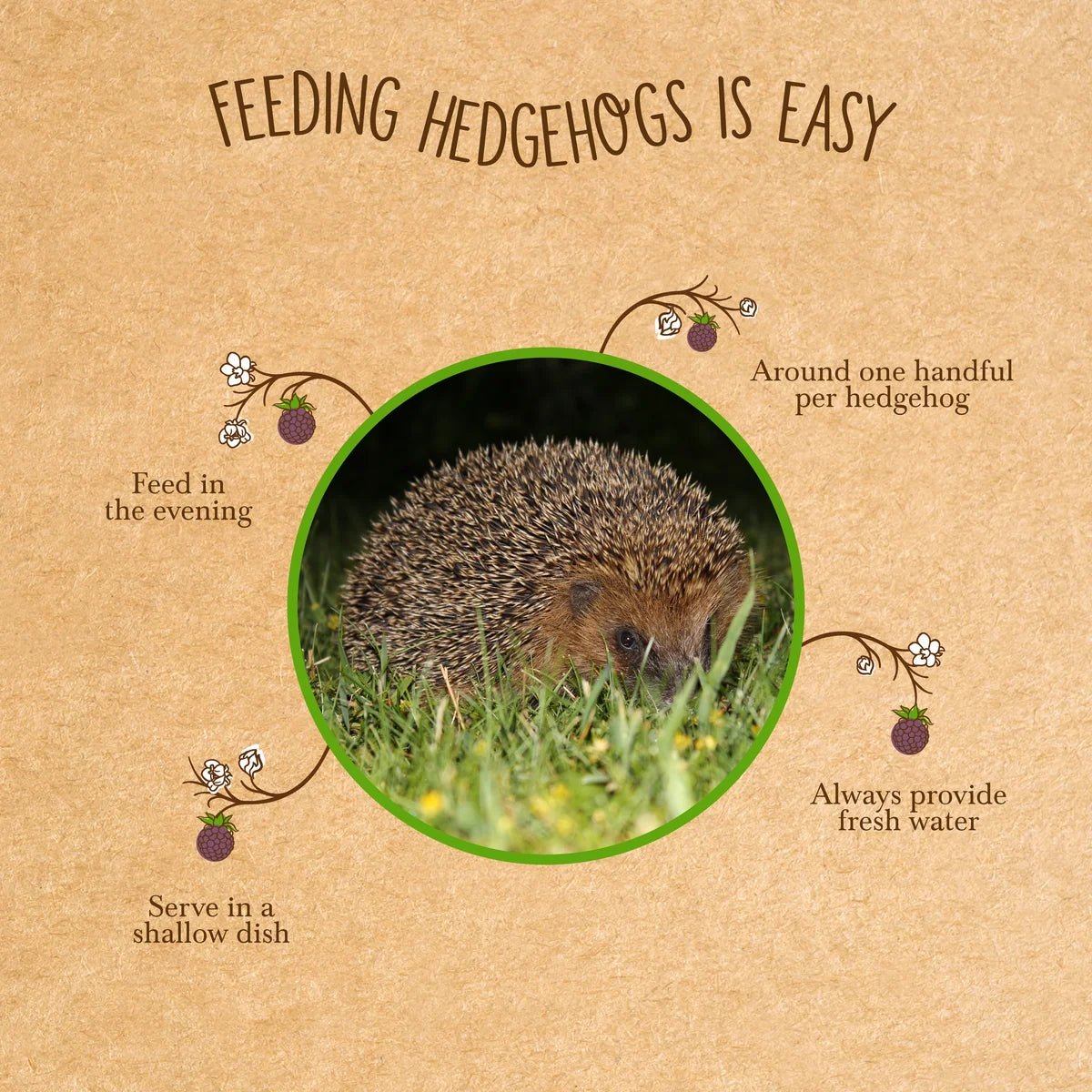 Brambles Crunchy Hedgehog Food | 3 Sizes Available