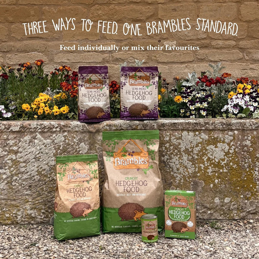 Brambles Crunchy Hedgehog Food | 3 Sizes Available