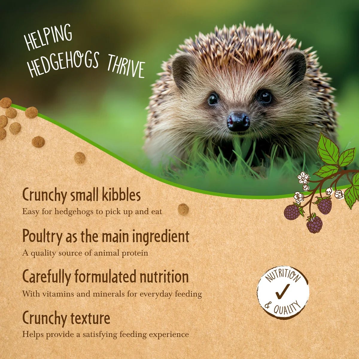 Brambles Crunchy Hedgehog Food | 3 Sizes Available