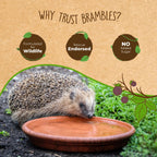 Brambles Crunchy Hedgehog Food | 3 Sizes Available