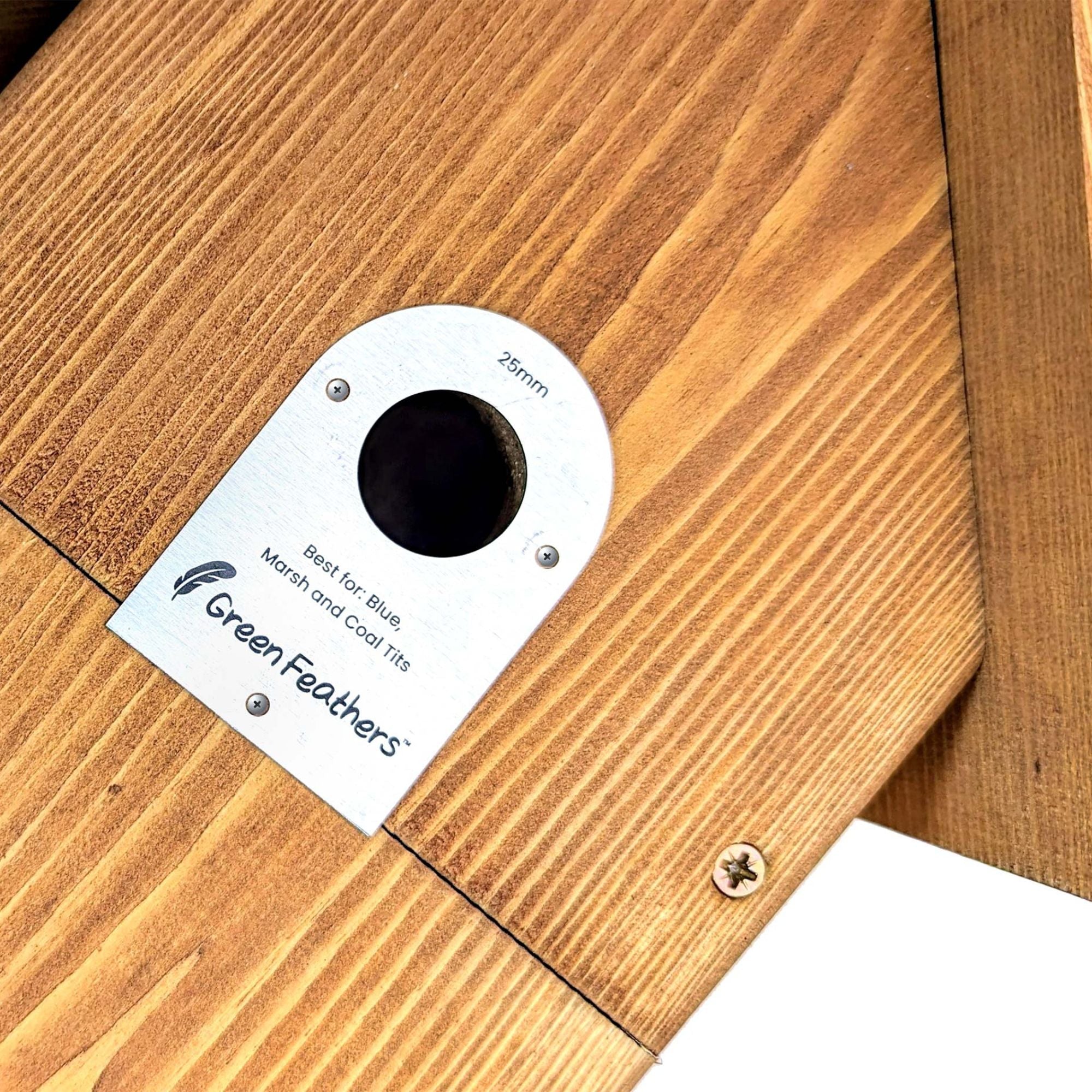 Green Feathers Bird Box Stainless Steel Cover Plates