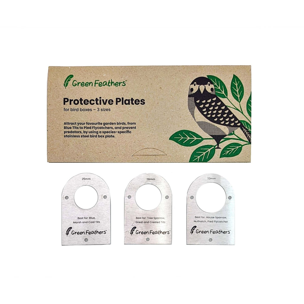 Green Feathers Bird Box Stainless Steel Cover Plates