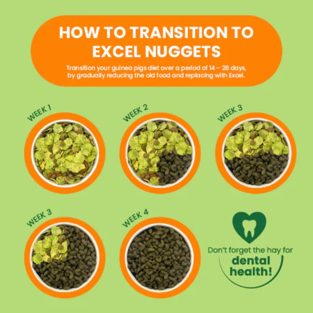 Burgess Excel Guinea Pig Nuggets with Mint 1.5KG | 20% Extra Free!