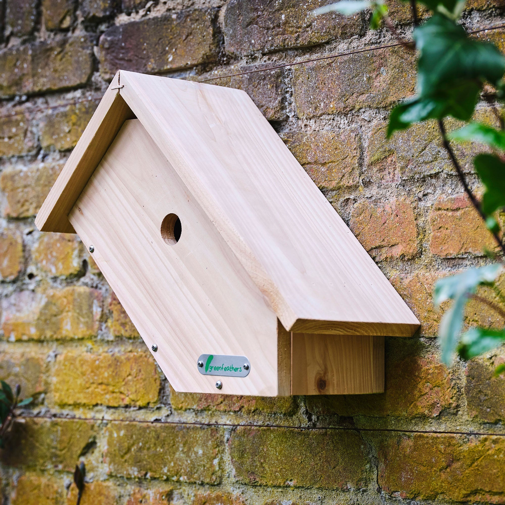 Handmade Wooden Side View Bird Box