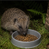 Home & Roost Shallow Hedgehog Feeding Dish 5"