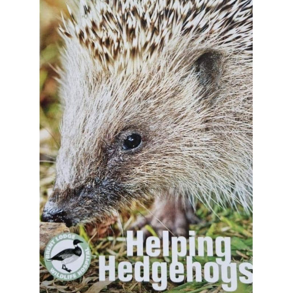 Hedgehog Hibernation House Starter Kit | The Perfect Cosy Retreat For Hibernating Hogs