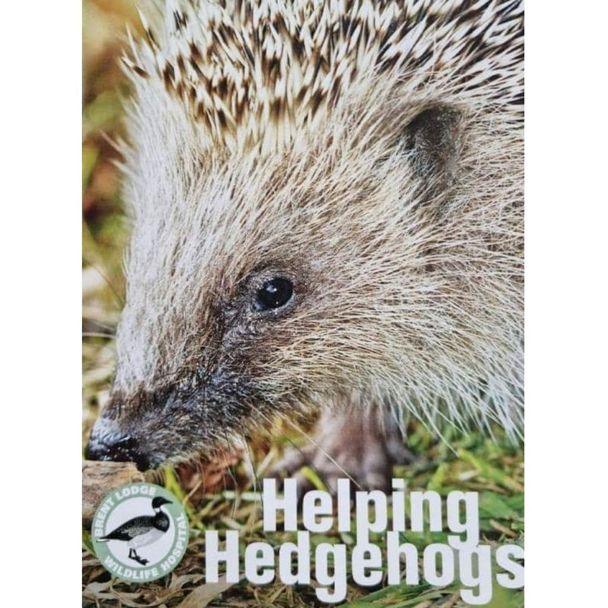 Hedgehog Hibernation House Starter Kit | The Perfect Cosy Retreat For Hibernating Hogs - Home & Roost