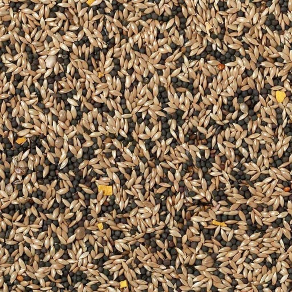 Johnston & Jeff Canary Seed 1kg | A Specially Crafted Seed Mix For Your Yellow Friends