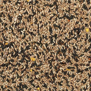 Johnston & Jeff Canary Seed 1kg | A Specially Crafted Seed Mix For Your Yellow Friends