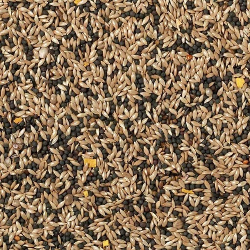 Johnston & Jeff Canary Seed 1kg | Seed Mix For Your Yellow Friends