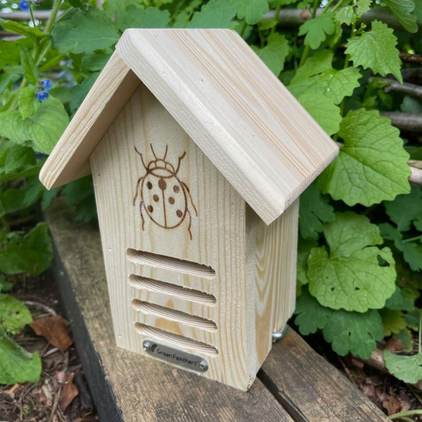 Ladybird House