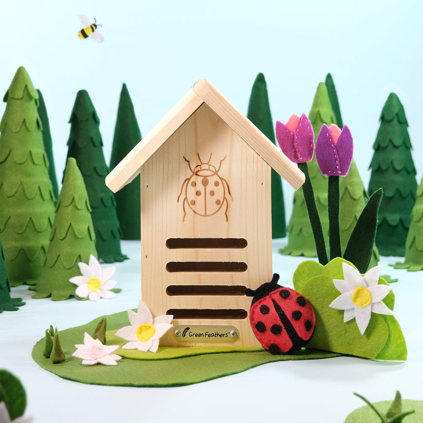 Ladybird House