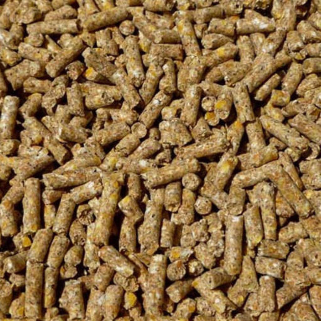 Home & Roost Layers Pellets 2kg - 20kg |  Elevate Your Flock's Eggcellent Potential