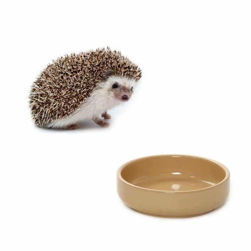 Mason Cash Ceramic Hedgehog Bowl | Heavyweight Shallow Dish Ideal For Feeding - Home & Roost
