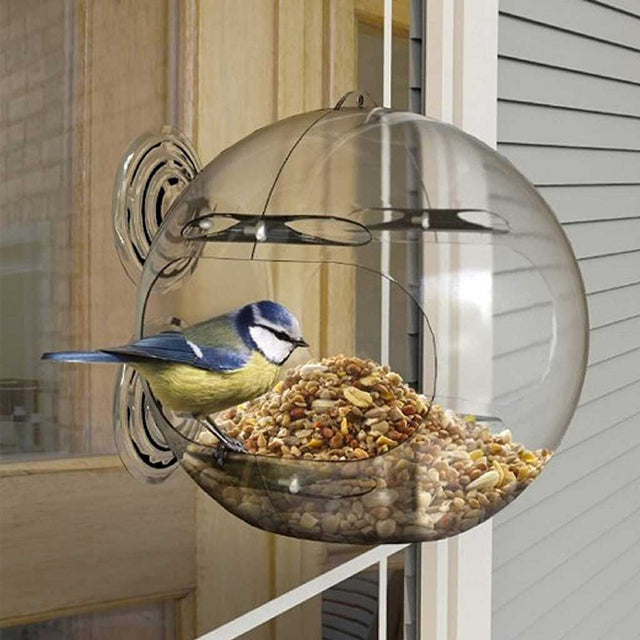 Peckish Globe Window Bird Feeder - Home & Roost