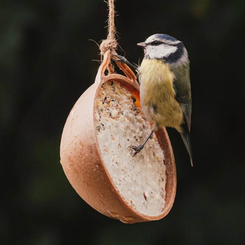 Gardman Coco-Not Wild Bird Feeder