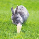 Naturals Raspberry 'n' Coconut Cone | Spoil Your Pet With This Incredibly 'Cool' Ice-Cream Treat