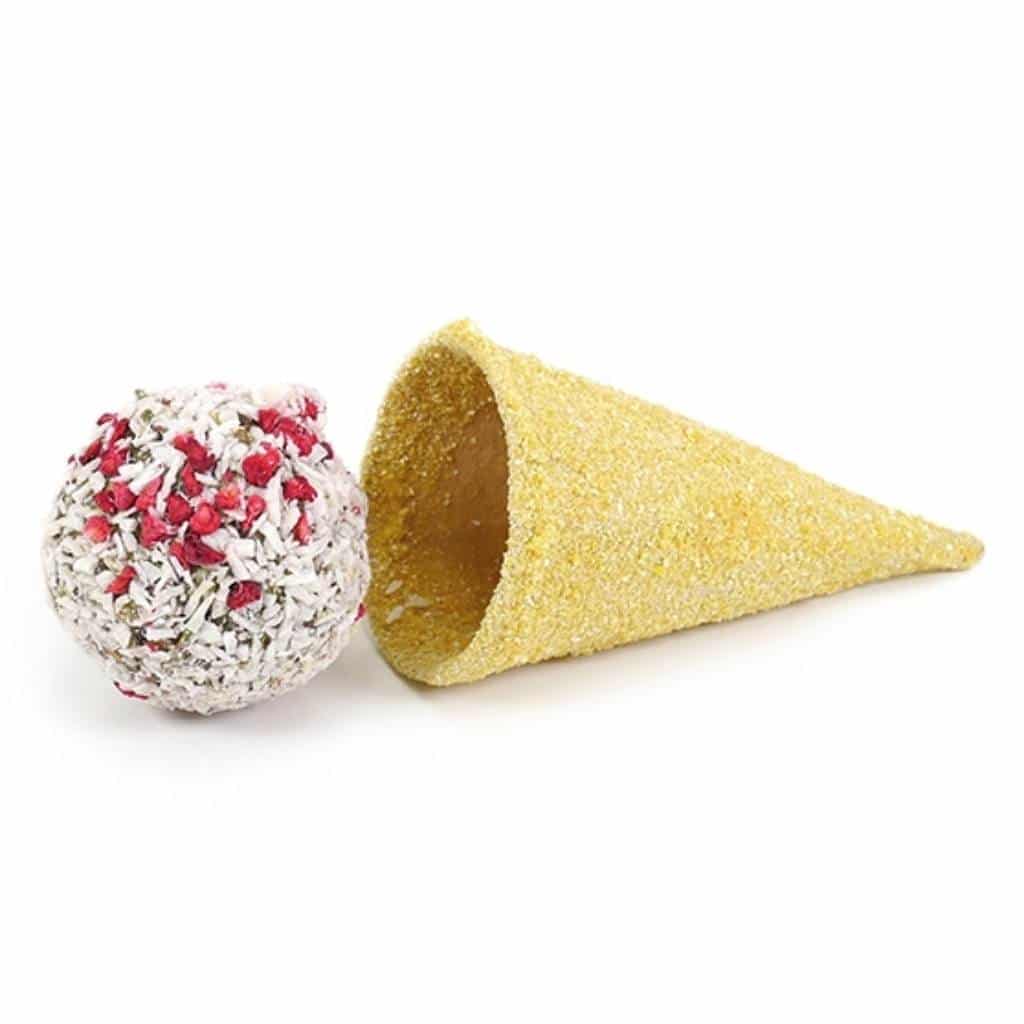 Naturals Raspberry 'n' Coconut Cone | Spoil Your Pet With This Incredibly 'Cool' Ice-Cream Treat