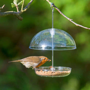 Robin and Song Bird Seed Mix - For A Harmonious Sanctuary In Your Garden