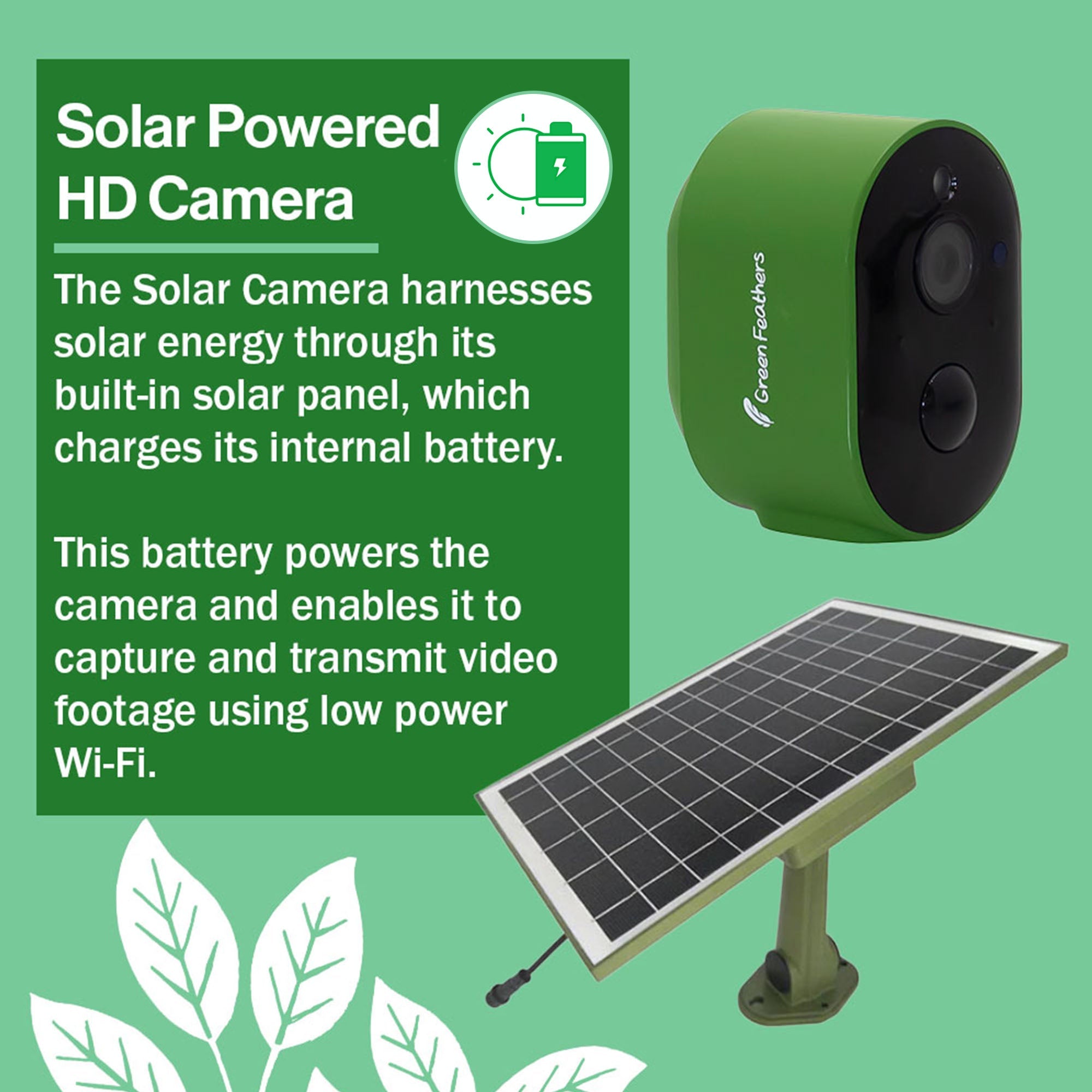 Solar Powered WiFi Bird Box HD Camera Complete Pack