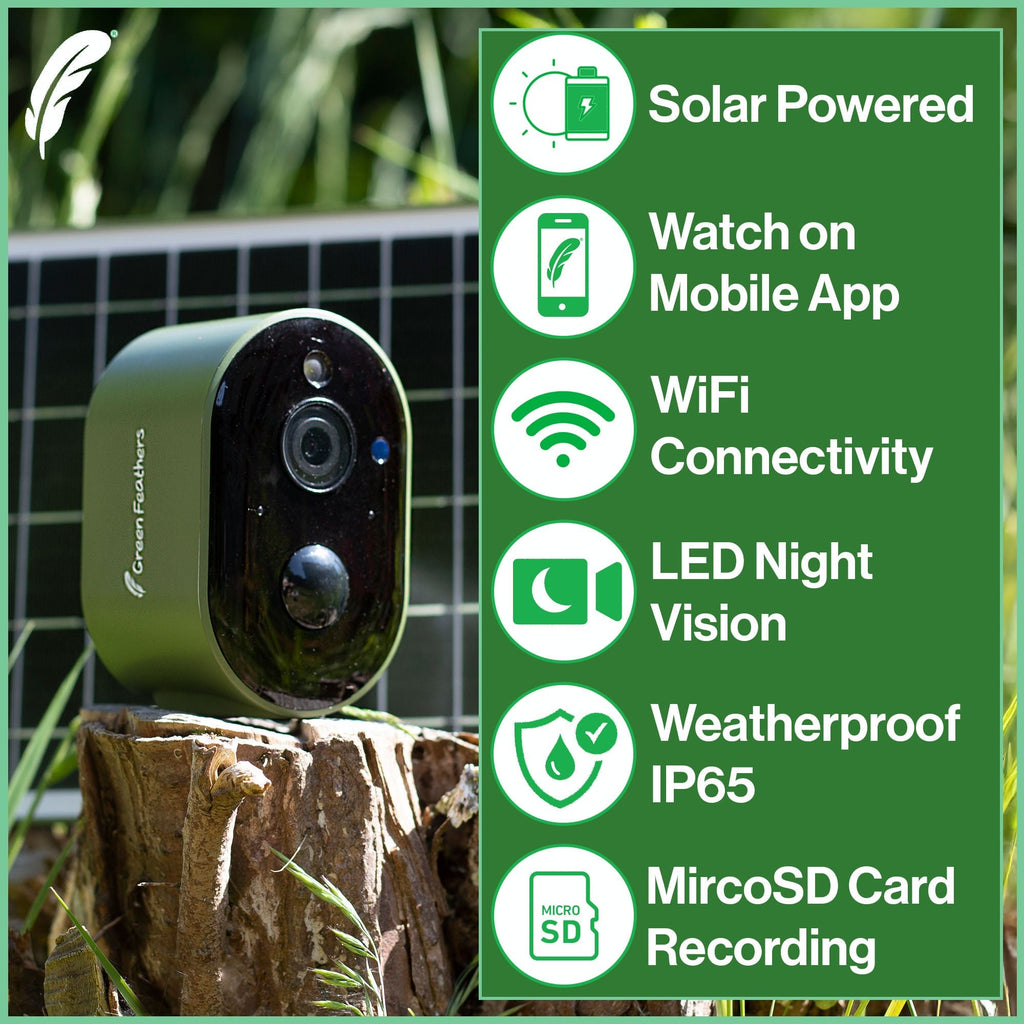 Solar Powered WiFi Bird Box HD Camera Starter Pack
