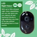 Solar Powered WiFi Bird Box HD Camera Starter Pack