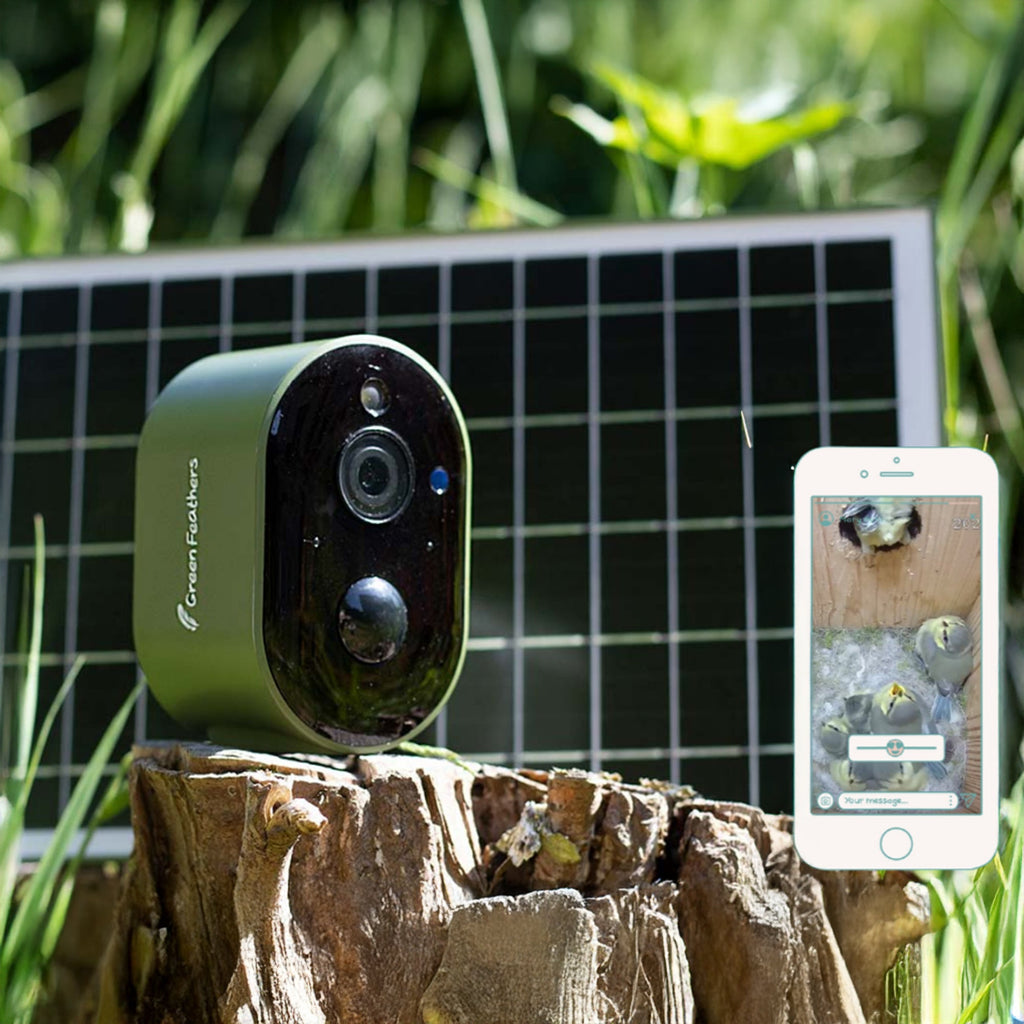 Solar Powered WiFi Bird Box HD Camera Starter Pack