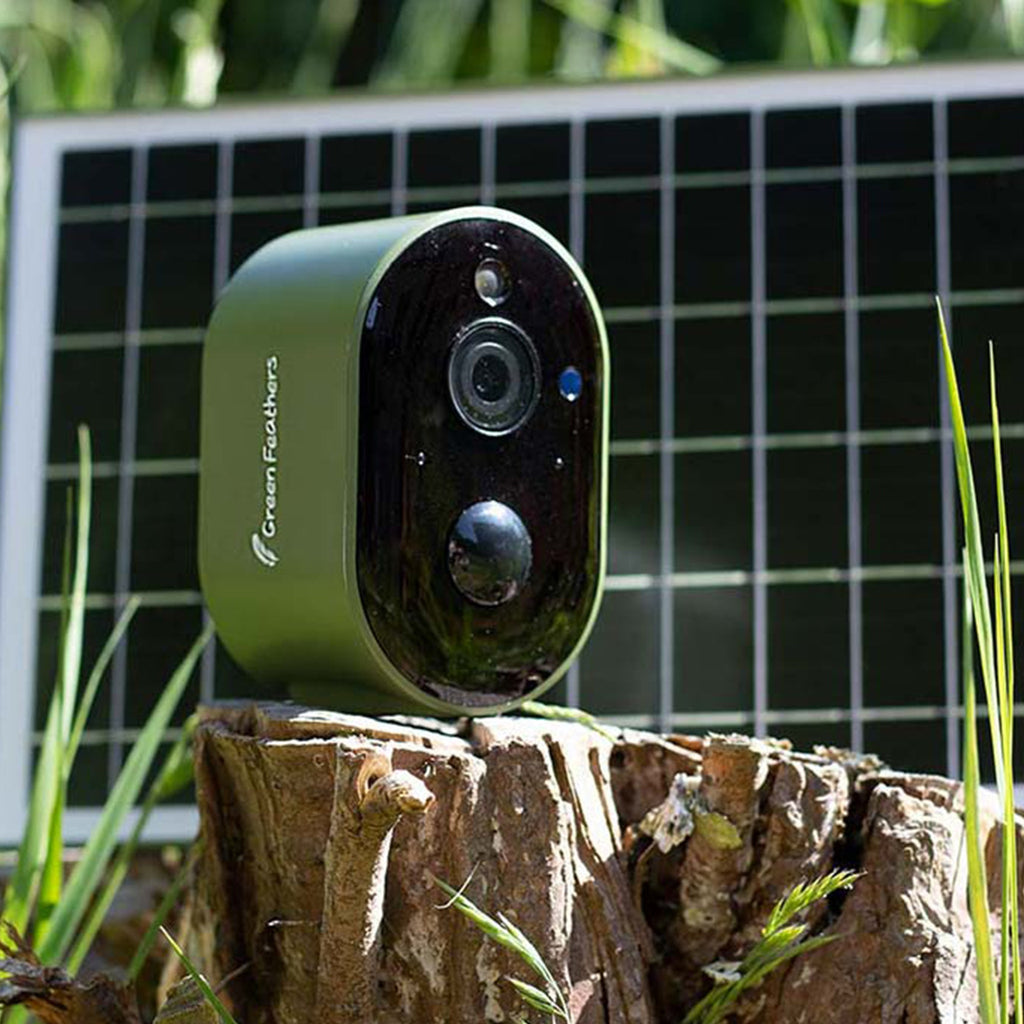 Solar Powered WiFi Bird Box HD Camera Starter Pack