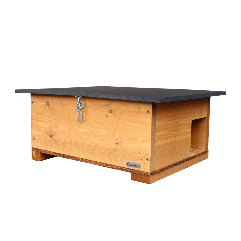 Solar Powered WiFi Bird & Hedgehog Rewilding Pack