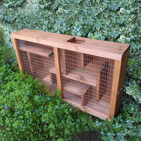 Squirrel Feeder Maze Labyrinth | Wooden Construction & Hinged Wired Front Panel | Fill up with Nuts & Watch Squirrels Search