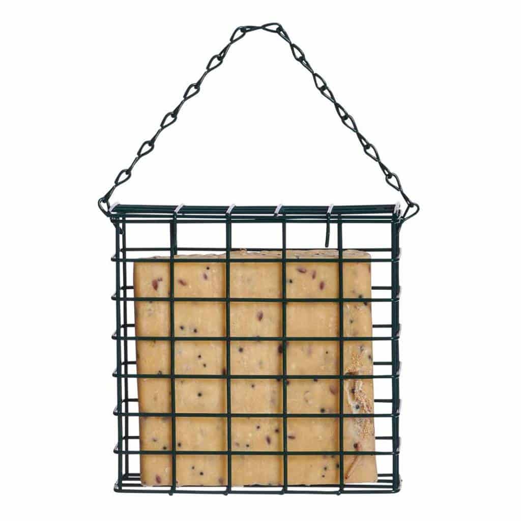 Supa Suet Block Feeder For Wild Birds | Hang Or Mount To A Fence Or Wall - Home & Roost