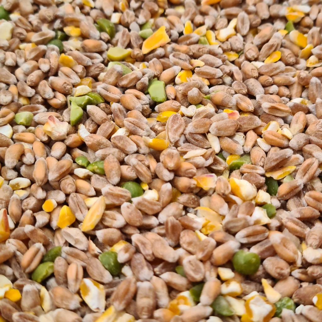 Home & Roost SUPER Mix Corn 2kg - 20kg