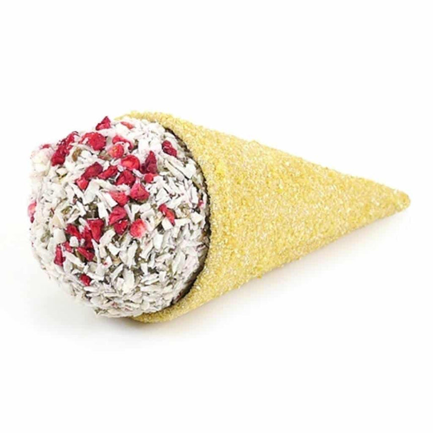 Naturals Raspberry 'n' Coconut Cone | Spoil Your Pet With This Incredibly 'Cool' Ice-Cream Treat - Home & Roost