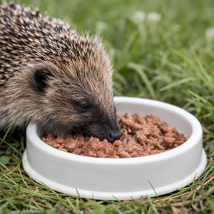 Home & Roost Shallow Hedgehog Feeding Dish 5"