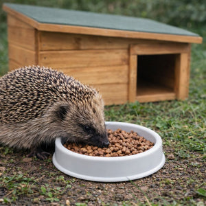 Home & Roost Shallow Hedgehog Feeding Dish 5"