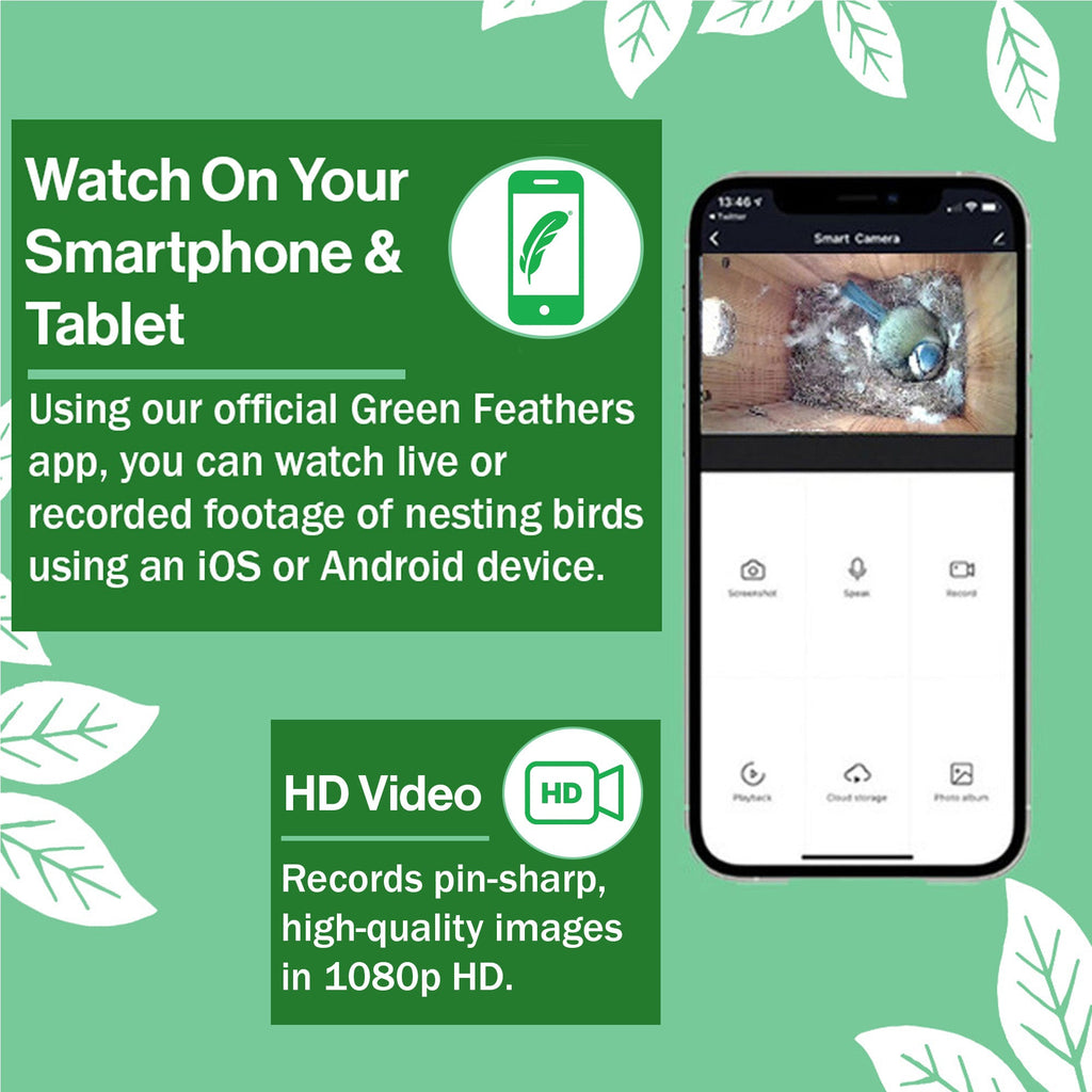 WiFi Bird Box HD Camera Starter Pack