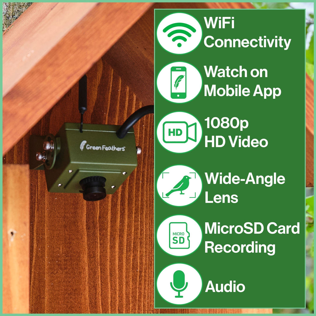 WiFi Bird Box & Wildlife Habitat HD Camera