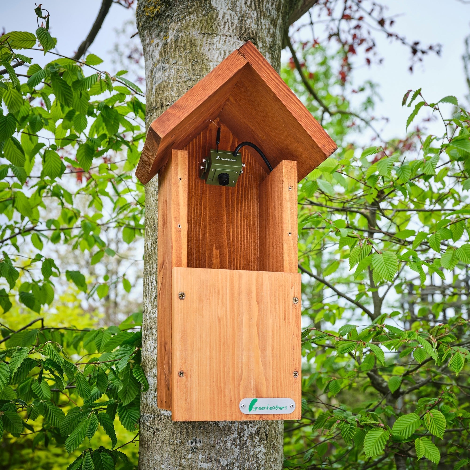 WiFi Bird Box & Wildlife Habitat HD Camera