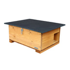 WiFi Hedgehog Box HD Camera Pack