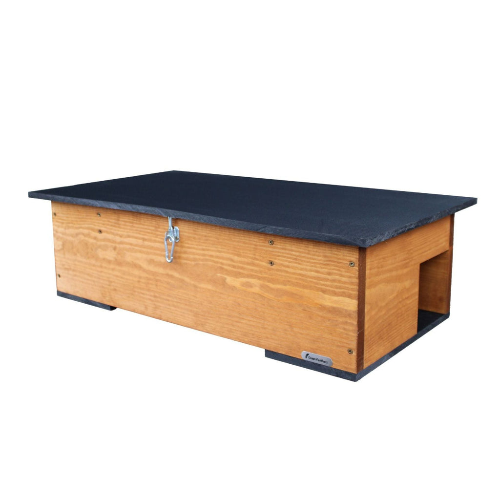 WiFi Hedgehog Box HD Camera Pack