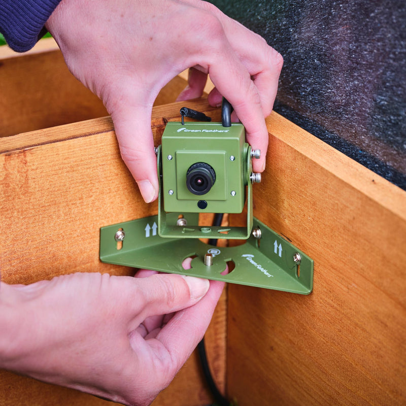 WiFi Hedgehog Box HD Camera Pack