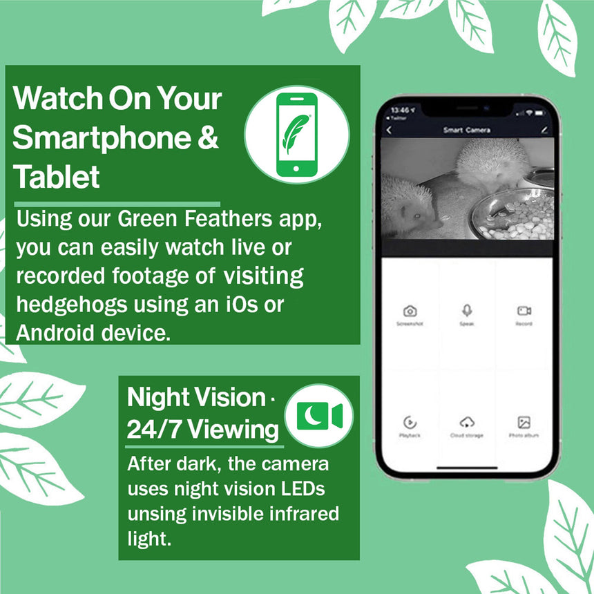 WiFi Hedgehog Box HD Camera Pack