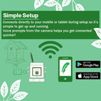 WiFi Hugo Bird Table HD Camera Pack