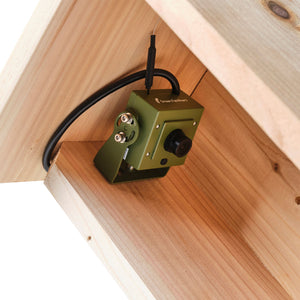 WiFi Side View Bird Box Camera Complete Pack