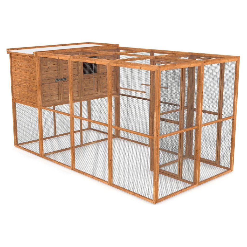 Wingmore Walk-in Aviary – 12ft x 6ft Enclosure