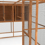 Wingmore Walk-in Aviary – 12ft x 6ft Enclosure