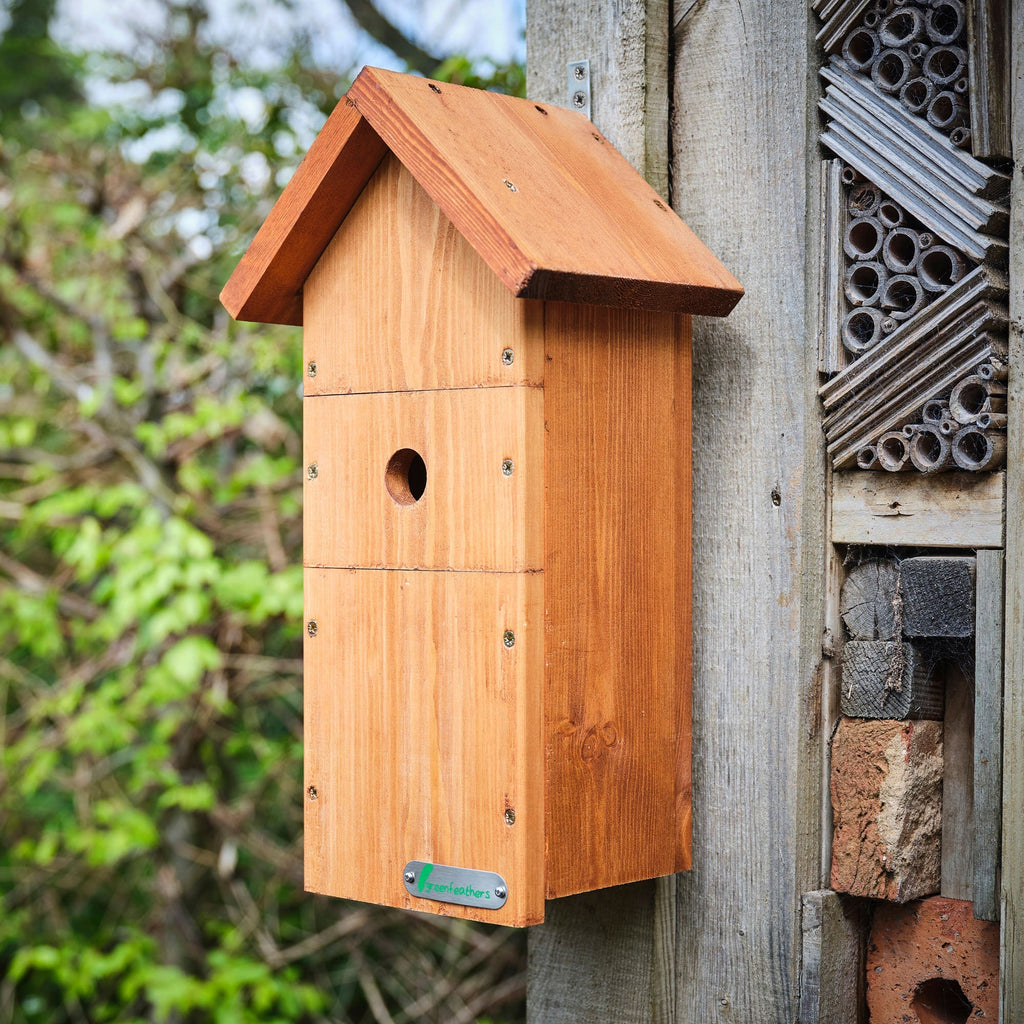 Wired Network Bird Box HD Camera Starter Pack (2nd Gen)