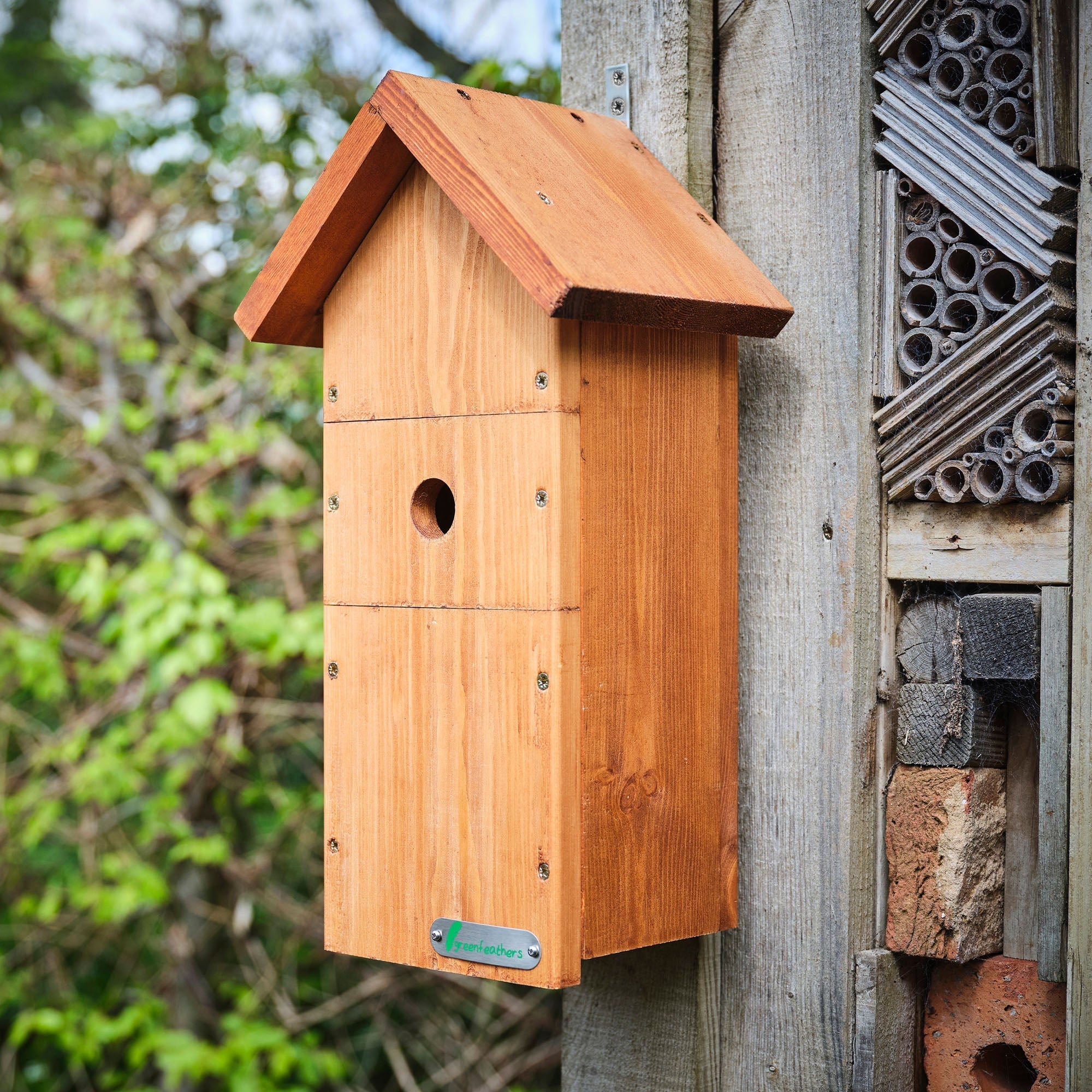 Wired Network Bird Box HD Camera Starter Pack (2nd Gen)